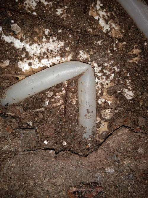 昭觉堵点精准查找